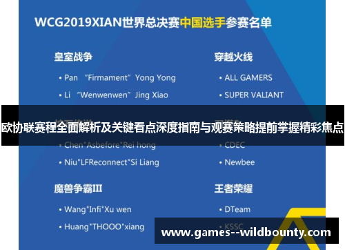 欧协联赛程全面解析及关键看点深度指南与观赛策略提前掌握精彩焦点